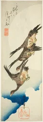 Fliegende Gänse und Vollmond