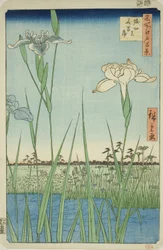 Schwertlilien in Horikiri (Horikiri no hanashobu), aus der Serie "Hundert berühmte Ansichten von Edo (Meisho Edo hyakkei)"