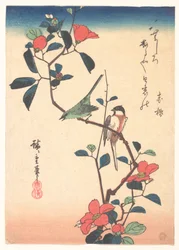 Japanische Weißaugen und Meise auf einem Kamelienzweig