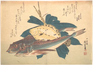 Kanagashira- und Karei-Fische, aus der Serie Uozukushi (Jede Art von Fisch)