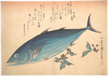 Katsuo-Fisch mit Kirschknospen, aus der Serie Uozukushi (Alle Arten von Fischen)