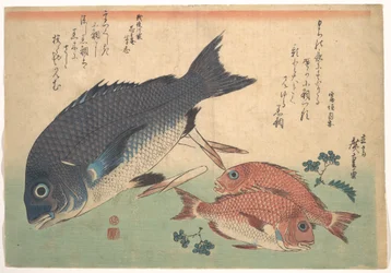 Kurodai- und Kodai-Fische mit Bambussprossen und Beeren, aus der Serie Uozukushi (Jede Art von Fisch)