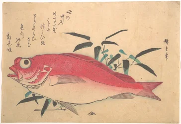 Medetai-Fisch und Sasaki-Bambus, aus der Serie Uozukushi (Jede Art von Fisch)
