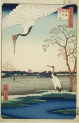 Minowa, Kanasugi, Mikawashima, aus der Serie „Hundert berühmte Ansichten von Edo (Meisho Edo hyakkei)“