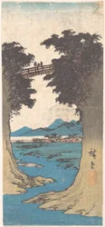 Die Affenbrücke