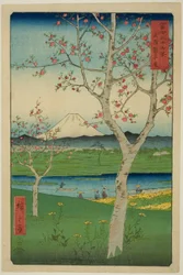 Die Vororte von Koshigaya in der Provinz Musashi (Musashi Koshigaya zai), aus der Serie "Sechsunddreißig Ansichten des Berges Fuji (Fuji sanjurokkei)"
