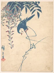 Glyzinie und weißköpfiger Vogel