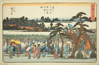 Blauregen in voller Blüte im Bezirk des Kameido Tenmangu Schreins, aus der Serie "Neu ausgewählte berühmte Orte in Edo"