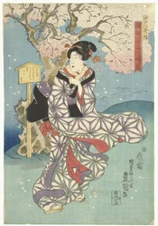 Stürmischer Tag am Sumida-Fluss