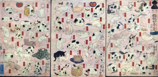 Dreiundfünfzig Katzen als Wortspiele für die Namen der Stationen auf der Tōkaidō-Straße, ca. 1848