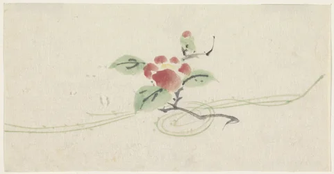 Zweig mit roter Kamelie