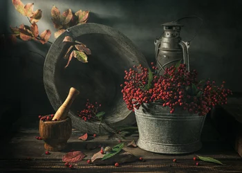 Herbstliches Ernte-Stillleben