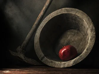 Dunkles Granatapfel-Stillleben