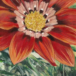 Lebendige Orange Blüte