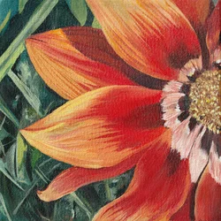 Lebendige Orange Blüte