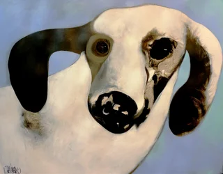 Träumerisches Hunde-Porträt