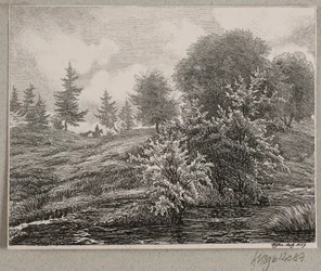 Hügel an einem Moor