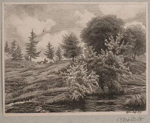 Hügel an einem Moor