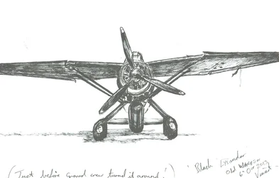 Lysander in Old Warden, 2012