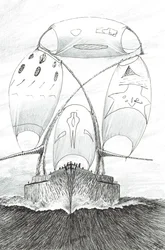 Sturmerschaffer Bass Strait, 2023