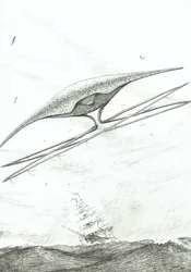 Sturmerschaffer Foxe Basin, 2022