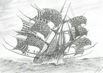 Sturmerschaffer Norwegische See, 2020
