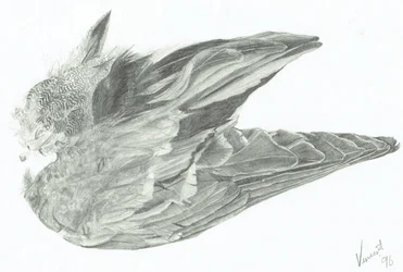 Flügel