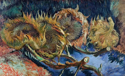 Vier geschnittene Sonnenblumen, 1887