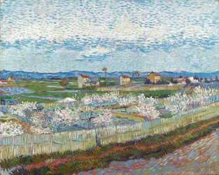 Pfirsichbäume in Blüte, 1889