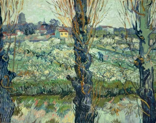 Blick auf Arles