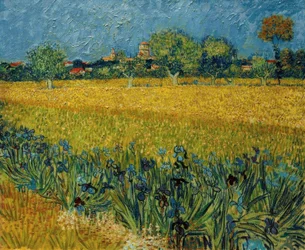 Blick auf Arles mit Irisblüten im Vordergrund