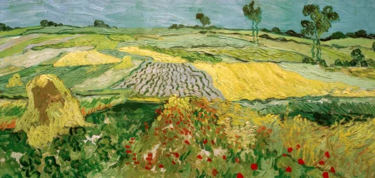 Die Ebene von Auvers