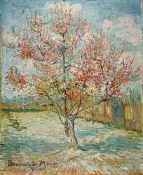 Blühender Pfirsichbaum