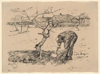 Gärtner bei einem Apfelbaum