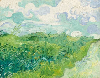 Grüne Weizenfelder, Auvers