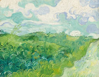 Grüne Weizenfelder, Auvers, 1890