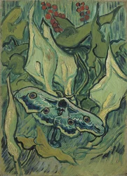 Der große grüne Pfau (Totenkopfschwärmer). Werk von Vincent van Gogh (1853-1890), 33,5 x 24,5 cm