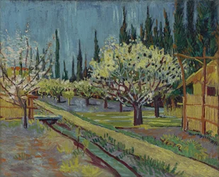 Obstgarten, gesäumt von Zypressen