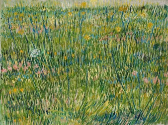 Grasfleck, April-Juni 1887