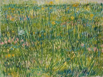 Grasfleck