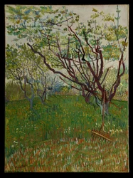 Der blühende Obstgarten
