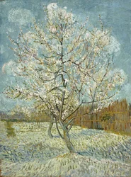 Der rosafarbene Pfirsichbaum