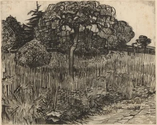 Weinender Baum