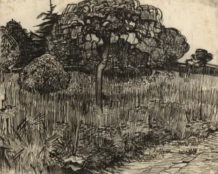 Weinender Baum, 1889
