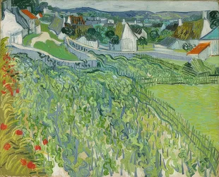 Weinberge in Auvers