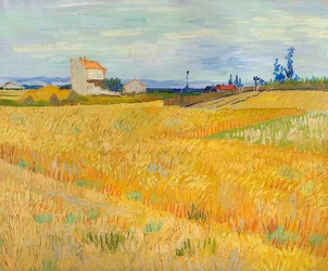 Weizenfeld