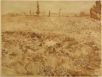Weizenfeld