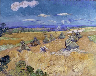 Weizenfeld mit Garben und Schnitter