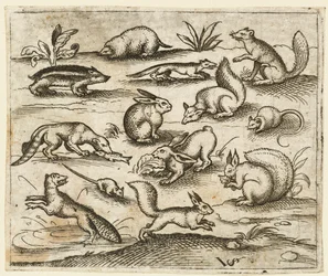 Gruppe kleiner Waldtiere, die um einen Teich essen und herumlaufen, einschließlich einer Maus, 1557