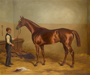 Sir Hugo als Dreijähriger, gehalten von einem Stallburschen, ca. 1875-92